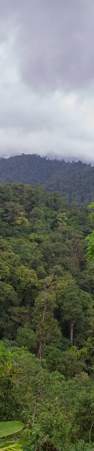Von der Mount Totumas Cloud Forest Lodge aus die Natur erkunden